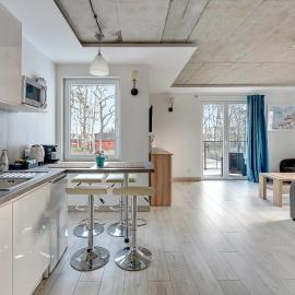 Dębki Nad Morzem by Downtown Apartments，位于德布吉的酒店