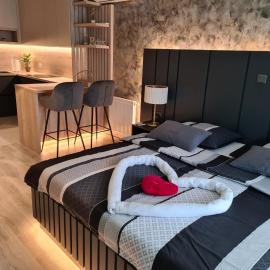 Wellness Apartments，位于瓦拉日丁的酒店
