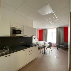 Nord-Ries Apartments mit Bad & Küche，位于Fremdingen的酒店
