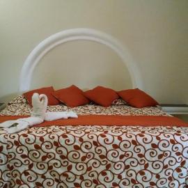 Hotel Plaza Hidalgo,位于Ixtlán del Río的酒店