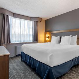 Best Western Plus Vancouver Airport Hotel，位于温哥华的酒店