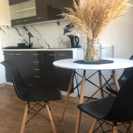 APARTAMENTY W BIESZCZADACH，位于Berezka的酒店