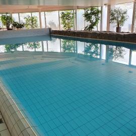 Sport Hotel Kenzingen inklusive Schwimmbad, Sauna und Frühstück nähe Europa-Park，位于肯钦根的酒店