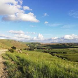 Sheeprun Farmstay，位于Maclear的酒店