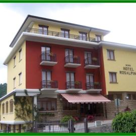 Hotel Rosalpina，位于塞里纳的酒店