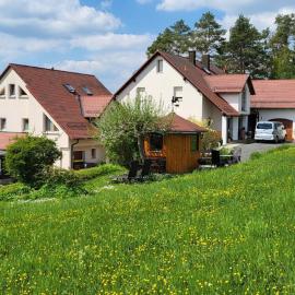 Pension am Wald，位于格斯韦因斯泰因的酒店