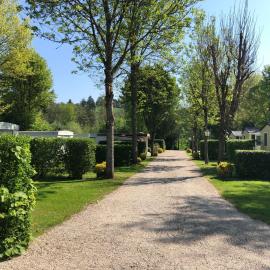 Ferienpark Eifellux，位于Körperich的酒店