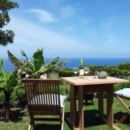 Faial Cottage B&B，位于Cedros的酒店