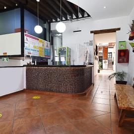 Mexico City Hostel，位于墨西哥城的酒店
