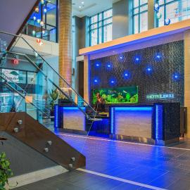 Hotel BLU，位于温哥华的酒店