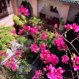Riad Toyour- Riad of birds，位于非斯的酒店