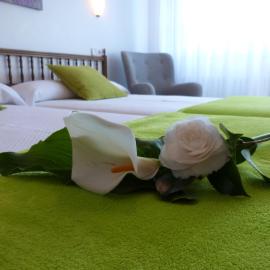 Hostal Pereiriña，位于塞埃的酒店