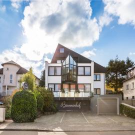 Hotel Brunnenhof，位于美茵河畔哈瑙的酒店