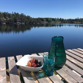 Lyseren waterfront cabin，位于Omberg的酒店