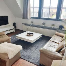 Ontdek Brugge en Vlaanderen!，位于泽德尔海姆的酒店