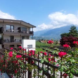 Marlingsuites - Vinea - Wieser Josef - Marling，位于马伦格的酒店