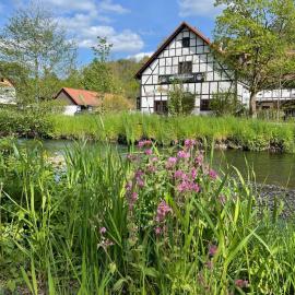 Hotel Der Distelhof - ihr Land- und Tagungshotel zwischen Rennsteig, Rhön & Werratal
