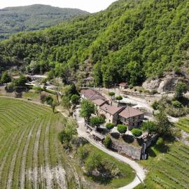 Cascina Bertolotto Wine Resort，位于Spigno Monferrato的酒店