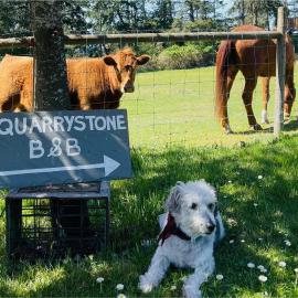 Quarrystone House B&B，位于Fernwood的酒店