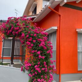 SIBARIAN Guest House，位于加贺的酒店
