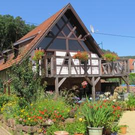 Gîte des Chateaux-forts，位于Obersteinbach的酒店