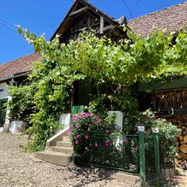 Saschiz 130/Lodging and Glamping，位于Saschiz的酒店