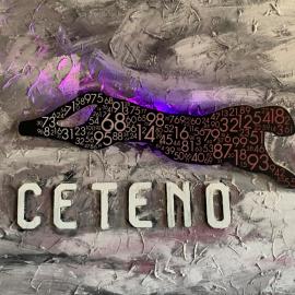 Hotel Ceteno，位于文斯托夫的酒店