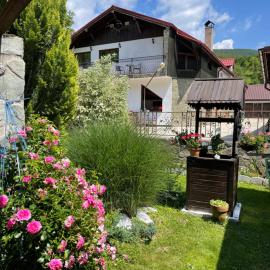 La Buna Văliug，位于沃利乌格乡的酒店