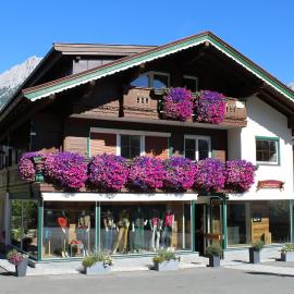 Alpking Hostel，位于埃尔毛的酒店