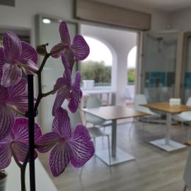 Shekhinah Bed and Breakfast Home Restaurant，位于马鲁焦的酒店
