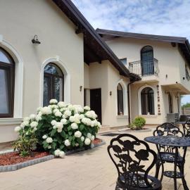 Villa Boutique Alina,位于德瓦的酒店
