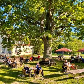 Hotel Gutshaus Kajahn，位于Gustow的酒店