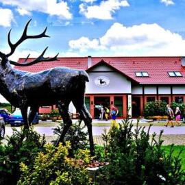 Pensjonat i Restauracja Hubertówka，位于米利奇的酒店