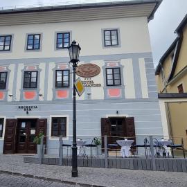 Hotel Salamander - Garni，位于班斯卡 - 什佳夫尼察的酒店