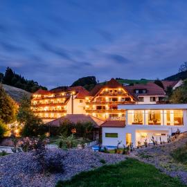Wellnesshotel Ludinmühle，位于Freiamt的酒店