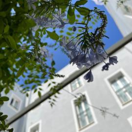 Hotel San Miguel Menorca，位于马翁的酒店