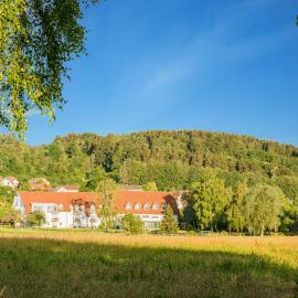 Landhotel Alte Mühle，位于奥斯特拉赫的酒店