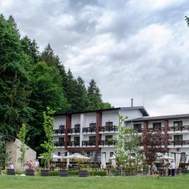 Piatra Pinului Ski & Spa，位于古拉哈莫卢洛伊的酒店