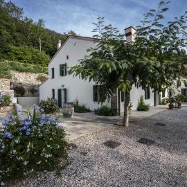 Agriturismo Le Volpi，位于Baone的酒店