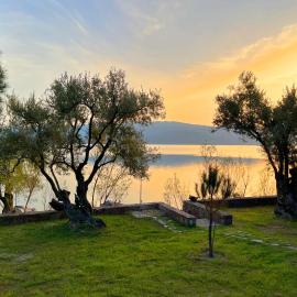 Traditional Architecture Seafront Stone House in 25000sqm Olive Grove - C，位于Alyfantá的酒店