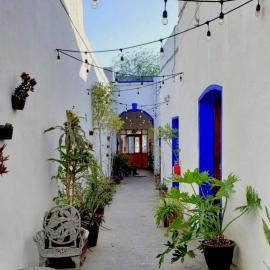 Ikali Hostel，位于蒙特雷的酒店
