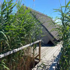 Seehütte Pfahlbau-Neusiedlersee-Waterfront 2，位于拉斯特的酒店