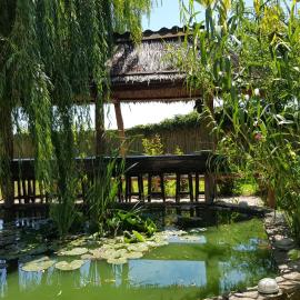 Pensiunea Iubire de Delta " La Traian "，位于穆里吉奥尔的酒店