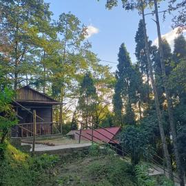 Orion Retreat