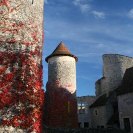 Chateau d'Ingrandes，位于Ingrandes的酒店