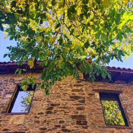 Hotel Rural Las Campares,位于Callejo de Ordás的酒店