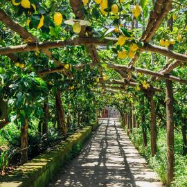 Agriturismo Il Giardino di Vigliano，位于马萨鲁布朗斯的酒店