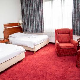 Hotel S-centrum Děčín，位于德辛的酒店