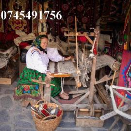 ILEANA Săpânța，位于瑟彭察的酒店