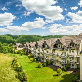 Gemünder Ferienpark Salzberg，位于施莱登的酒店